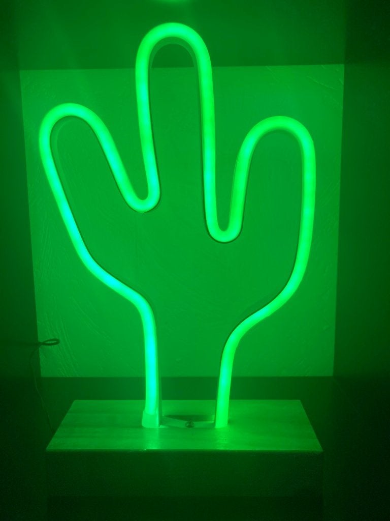 Cactus Neon LED Lamp 33cm (USB), Ophalen of Verzenden, Zo goed als nieuw, Minder dan 30 watt, Led-lamp
