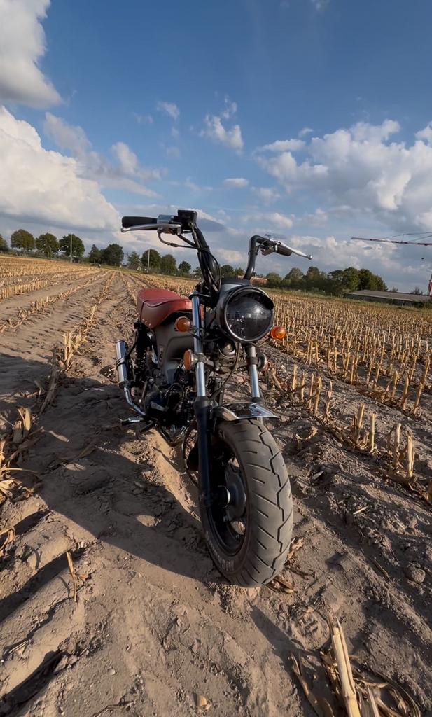 Dax 50cc, Motos, Permis Moto A, Entreprise, Autre