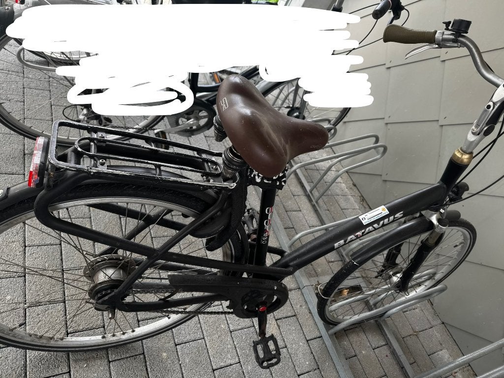Damesfiets, Ophalen, Batavus