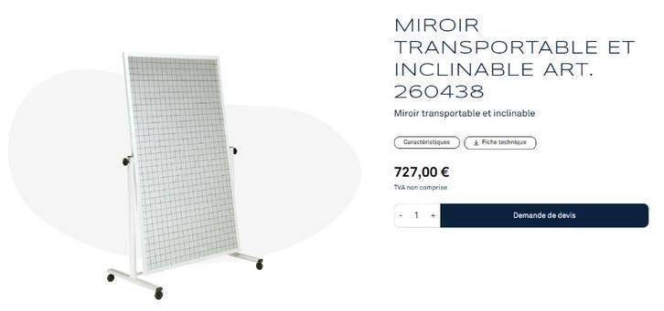 Miroir quadrillé transportable et inclinable Ferrox, Sports & Fitness, Enlèvement, Comme neuf