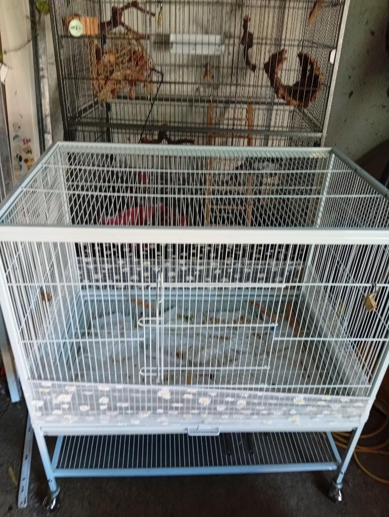 Vogelkooi, Dieren en Toebehoren, Ophalen, Zo goed als nieuw, Aluminium, Vogelkooi