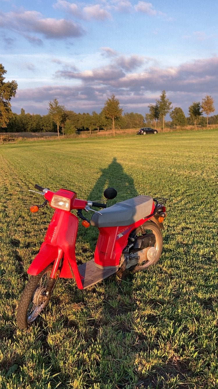 Honda scoopy, Fietsen en Brommers, Ophalen, Gebruikt, Klasse B (45 km/u), 50 cc