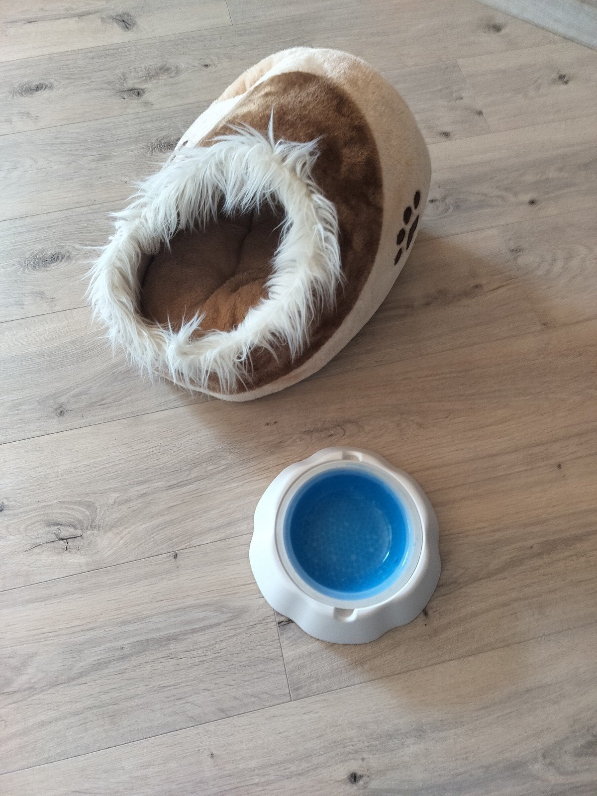 panier de couchage et gamelle rafraîchissante pour petit chi, Enlèvement