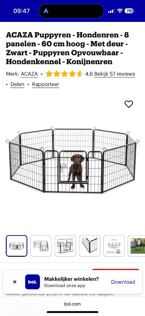 Hondenren puppy, Dieren en Toebehoren, Ophalen, 110 cm of meer, Minder dan 65 cm, Nieuw