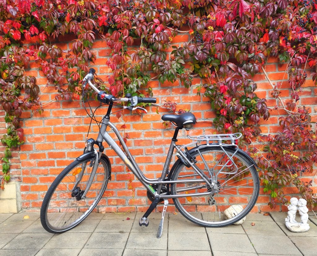 Vélo Minerva Trento pour femme, Autres marques, Vitesses, Frein sur jante, Enlèvement