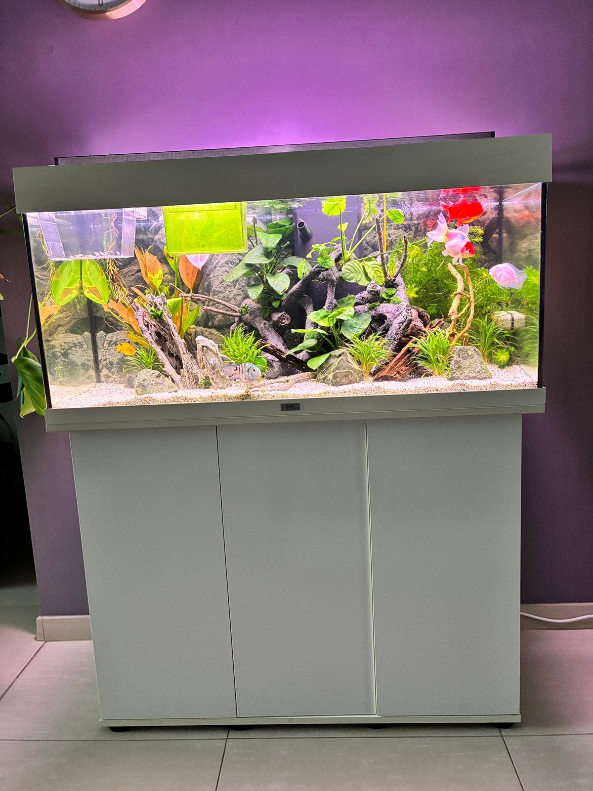 Juwel rio 180 + kast + orginele led + orginele filter, Ophalen, Pomp, Zo goed als nieuw, Juwel