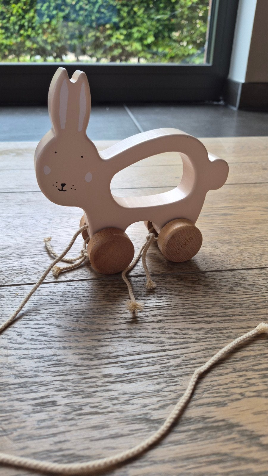 Konijn met koordje Trixie, Enlèvement