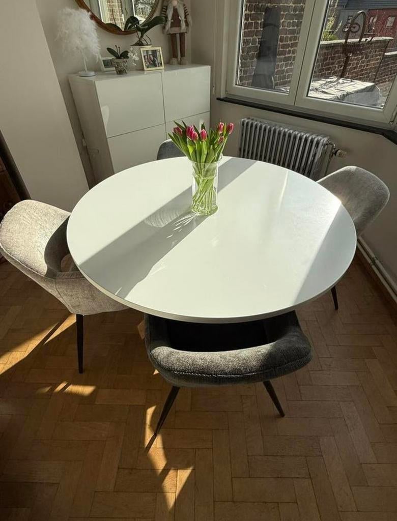 4 chaises de salle à manger, Enlèvement, Comme neuf, Velour, 4 à 6 chaises