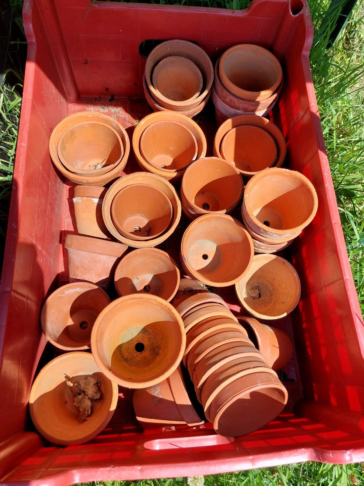 Terracotta potjes, Ophalen, Terracotta