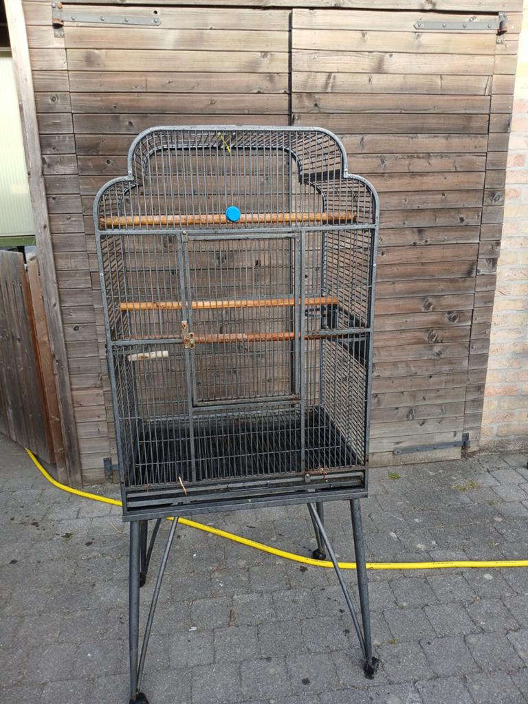 Papegaaien kooi, Dieren en Toebehoren, Ophalen