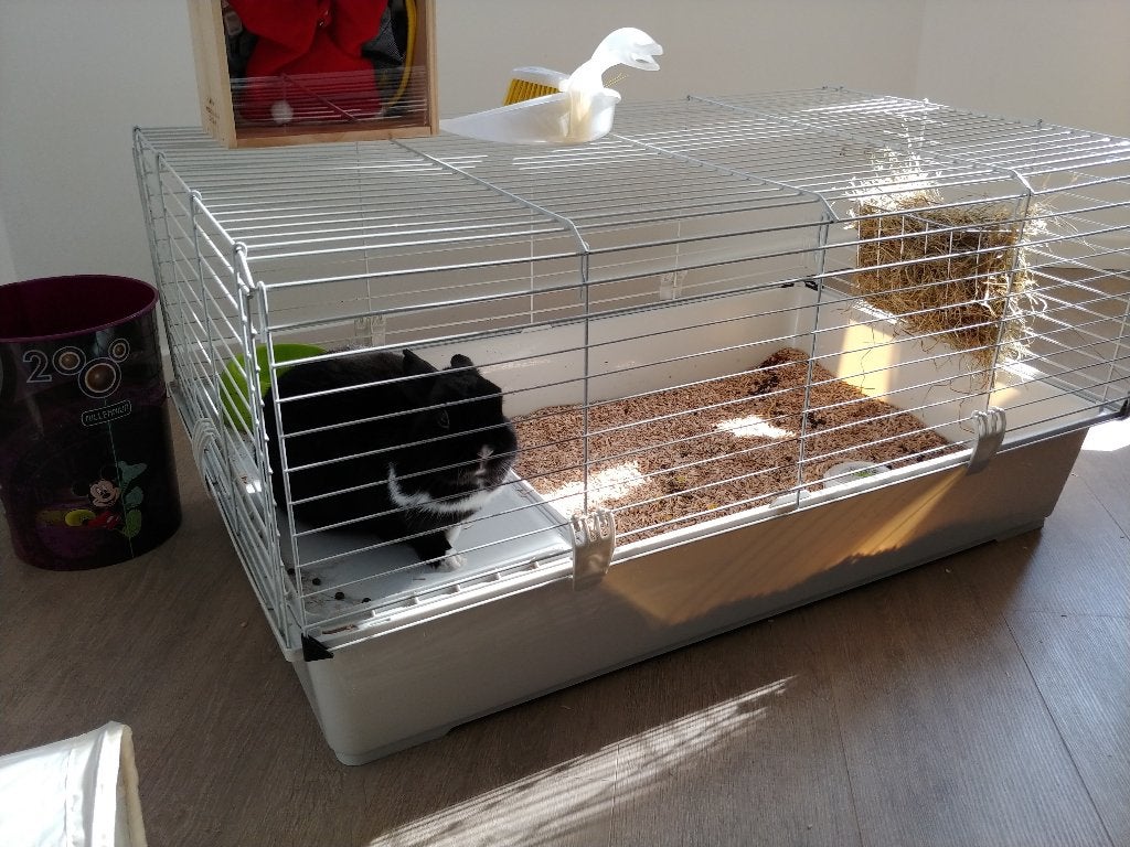 konijnenhok, Dieren en Toebehoren, Ophalen, Gebruikt, Kooi, Konijn