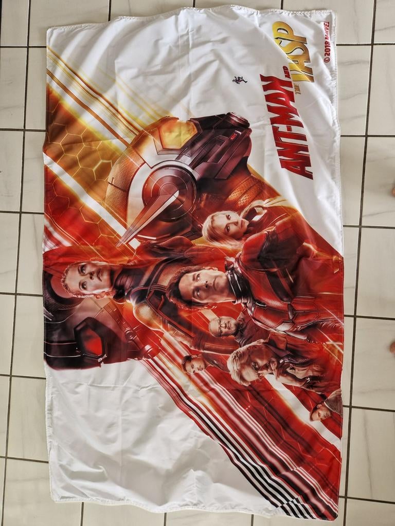 Groot Canvasdoek Marvel Antman and the Wasp, Ophalen of Verzenden