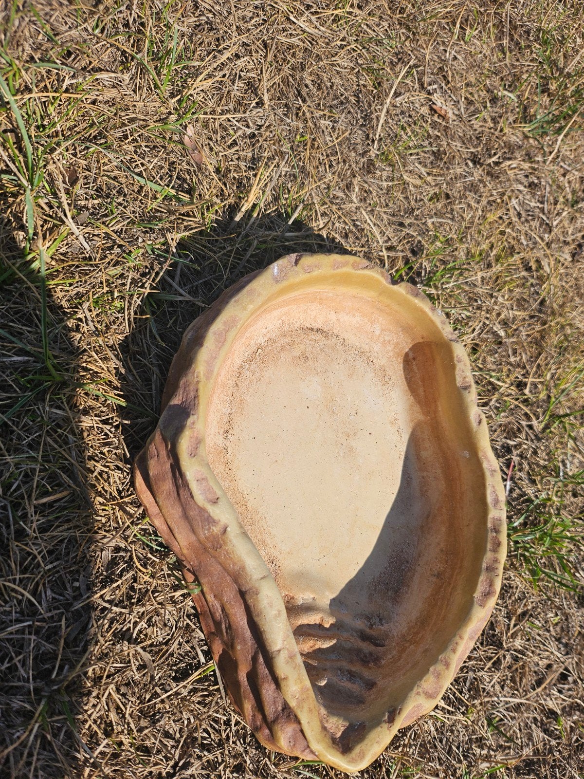 Drinkbakje voor grotere reptielen., Dieren en Toebehoren, Ophalen
