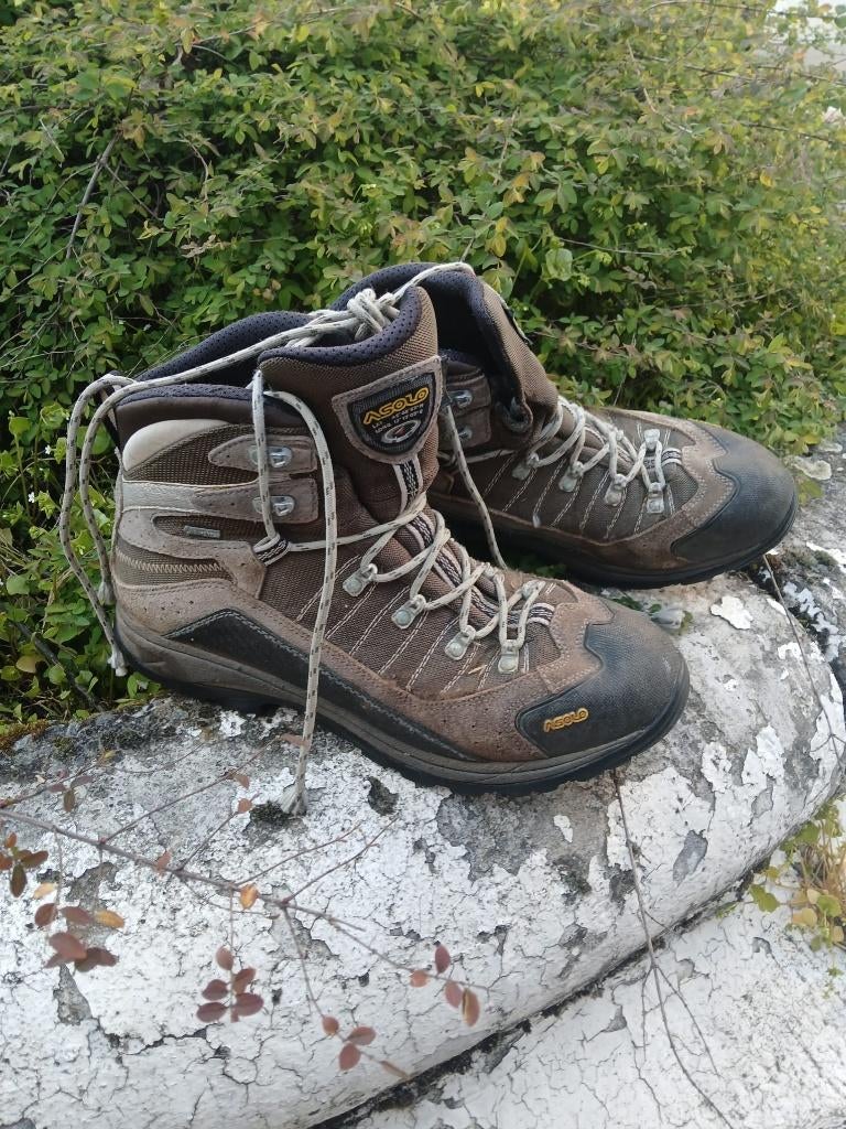 Grijze wandelschoenen Asolo Drifter GV Evo, Chaussures de marche, Autres couleurs, Enlèvement, Drifter GV Evo MM