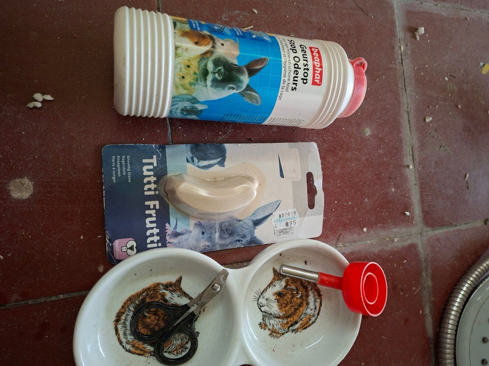 Gratis konijnen spulletjes, Enlèvement