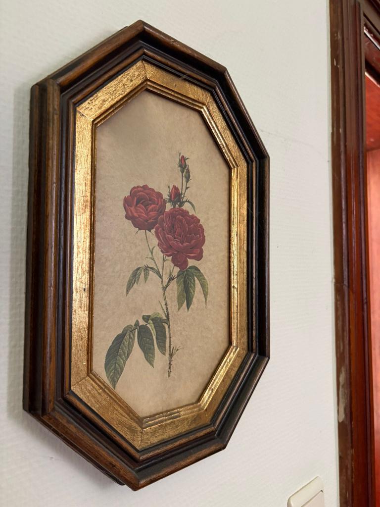 Oude kaders met rozenschilderij, Antiek en Kunst, Ophalen
