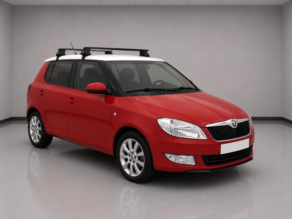 SKODA FABIA, Rouge, Euro 5, Achat, Entreprise