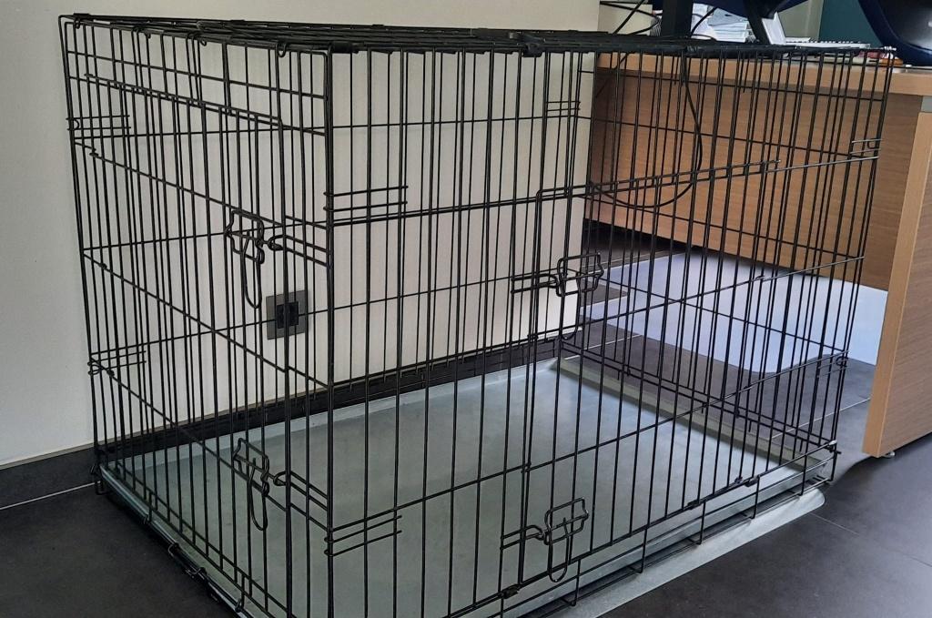 Bench hond transport binnen, Dieren en Toebehoren, Ophalen, Gebruikt