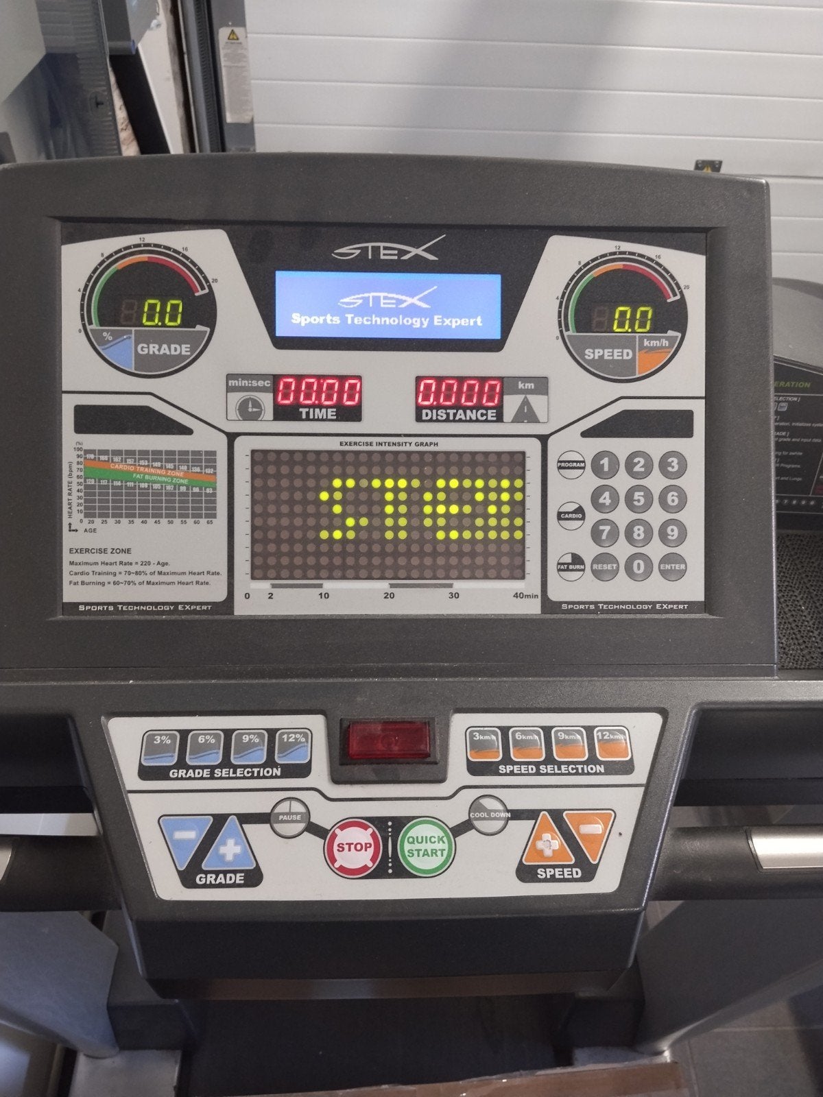 Professioneel LOOPBAND 20km/u - helling 20%, Sports & Fitness, Appareils de fitness, Jambes, Tapis roulant, Enlèvement, Utilisé
