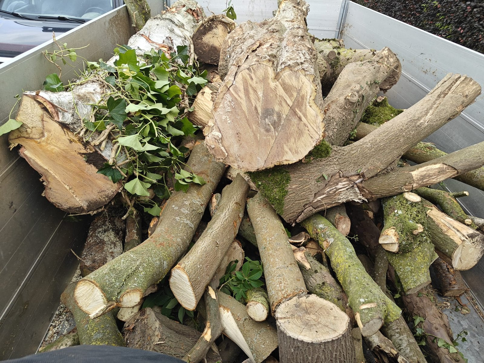 Hout, Ophalen, Overige typen, Nieuw, 200 tot 250 cm