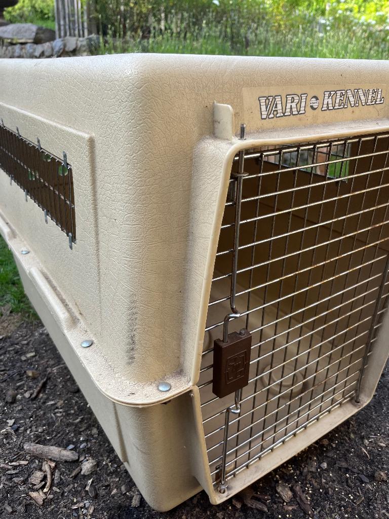 Cage à chien, Animaux & Accessoires, Enlèvement, Utilisé