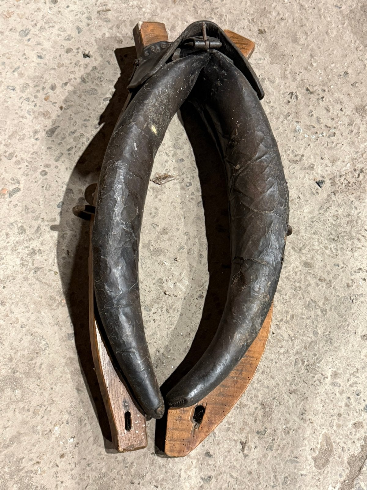 Harnais ancien, Animaux & Accessoires, Enlèvement, Utilisé, Autres types, Autres tailles