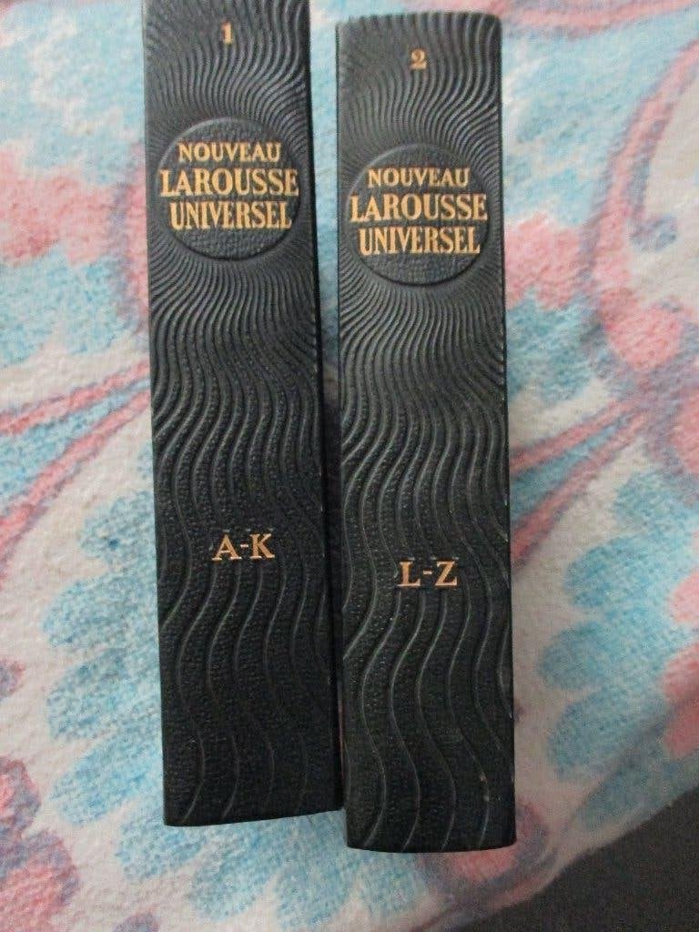 dictionnaire Larousse, Neuf, Enlèvement ou Envoi, Français, Autres éditeurs