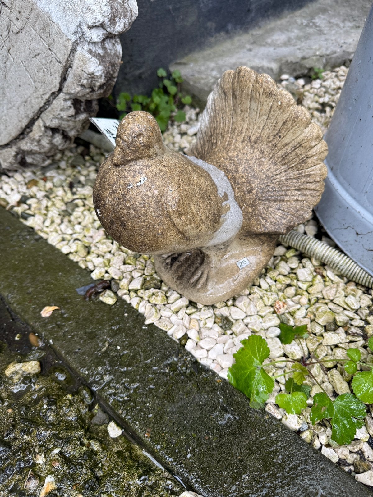 Pigeon en béton, Enlèvement ou Envoi, Béton