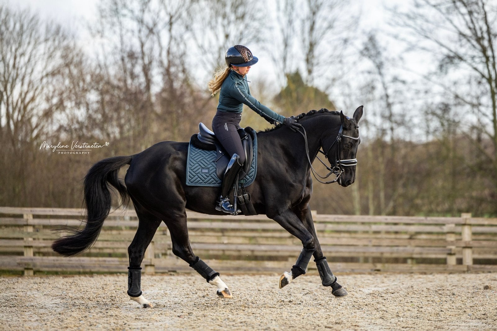 Dressuurles / training aangeboden, Dieren en Toebehoren, Paarden