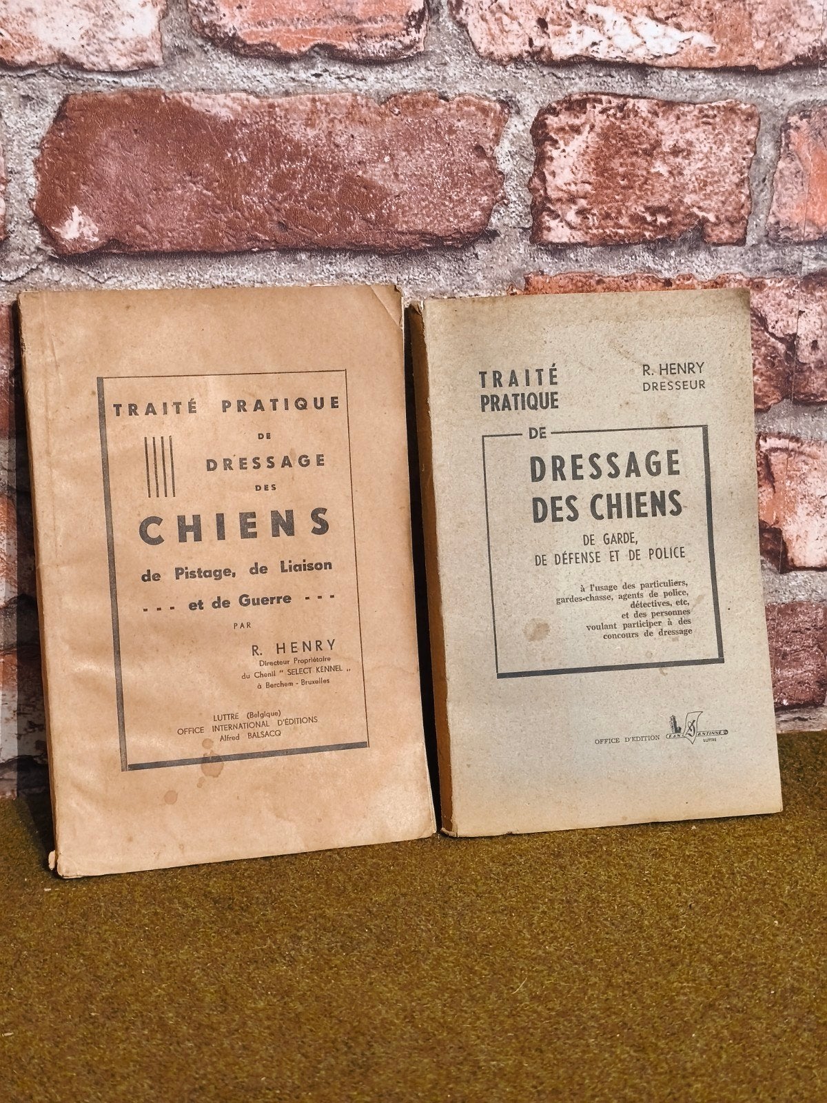 livre dressage des chiens militaire, police, gardiennage, Enlèvement ou Envoi