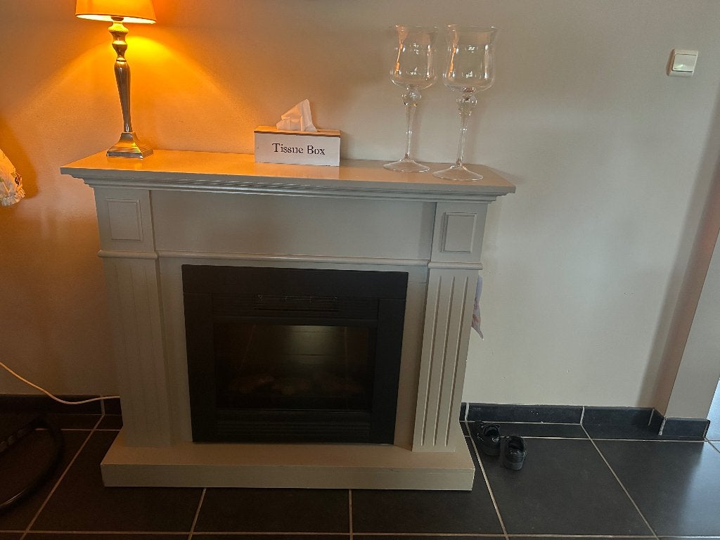 Elektrische sierhaard, Huis en Inrichting, Haarden, Ophalen, Zo goed als nieuw, Vrijstaande haard, Elektrische haard