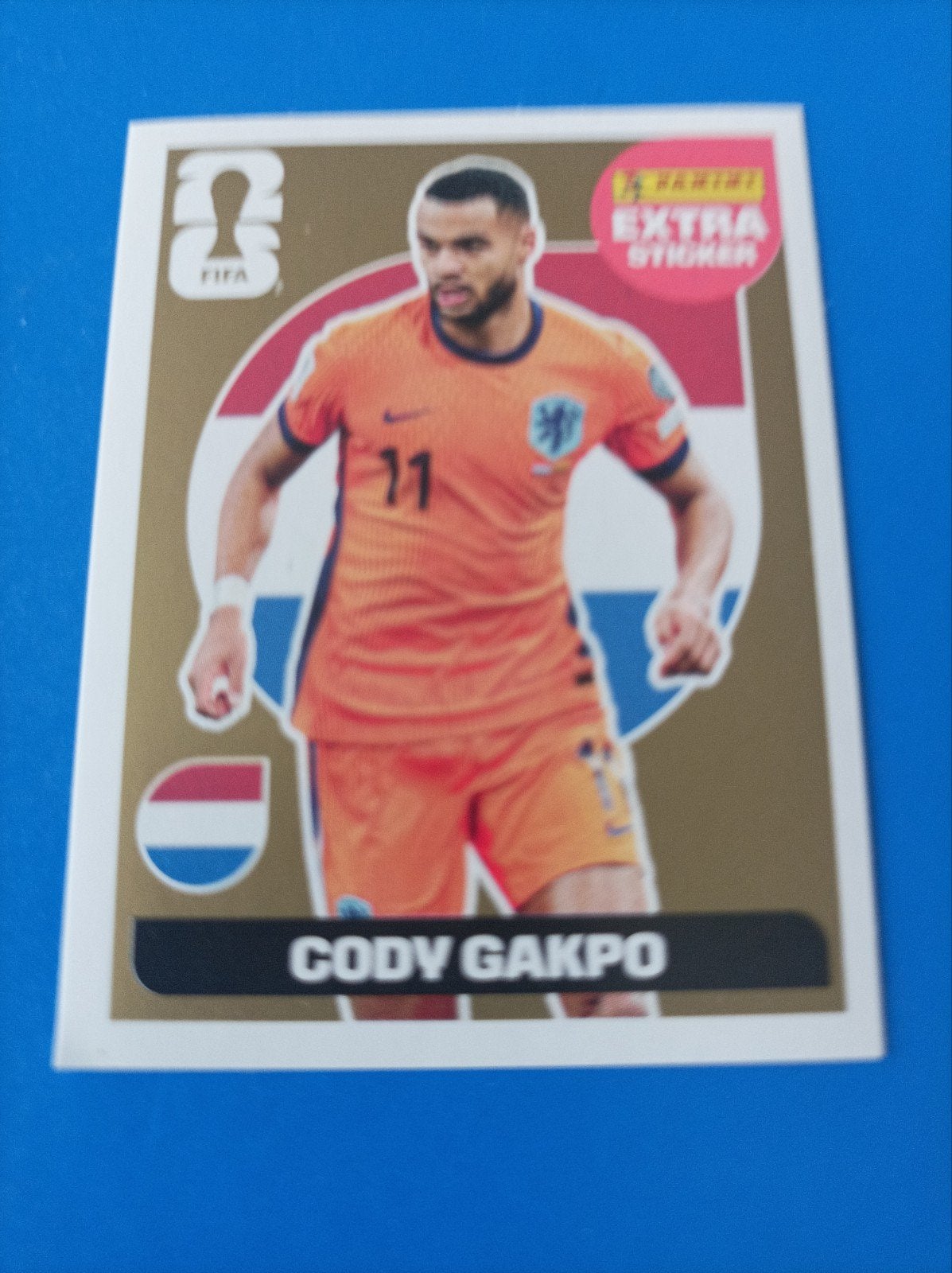 Autocollant supplémentaire Panini pour la Coupe du monde 202, Enlèvement ou Envoi, Autocollant