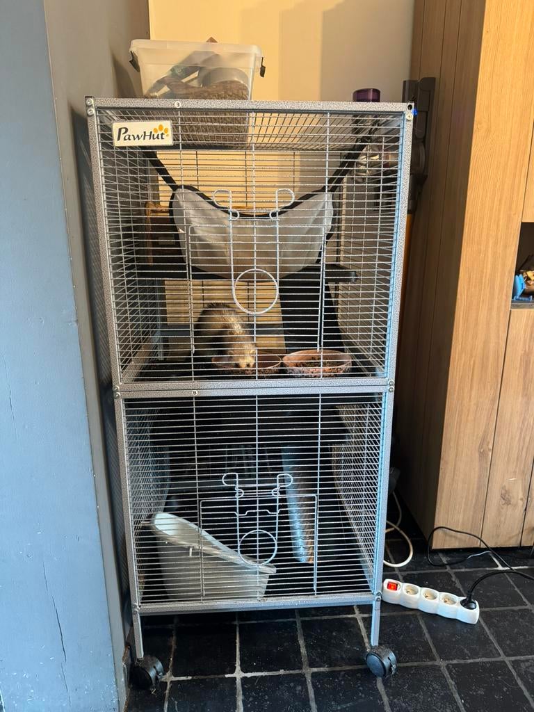 Fret en toebehoren te koop, Enlèvement, Comme neuf, Cage, Furet