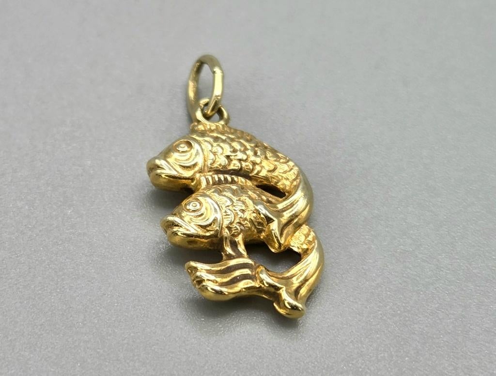 Gouden kooi karper hanger. 2026/167., Ophalen of Verzenden, Zo goed als nieuw, Goud, Goud