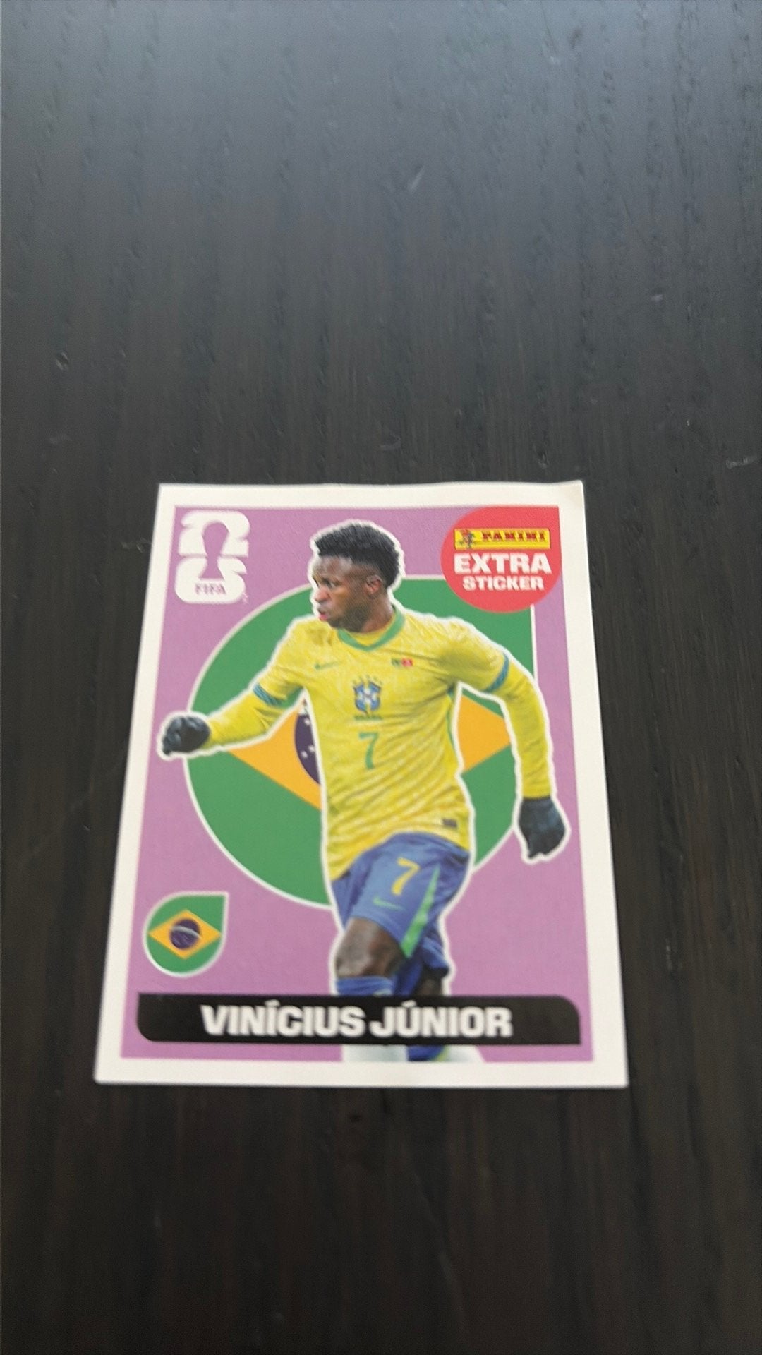Panini extra sticker, Tickets & Billets, Sport | Football