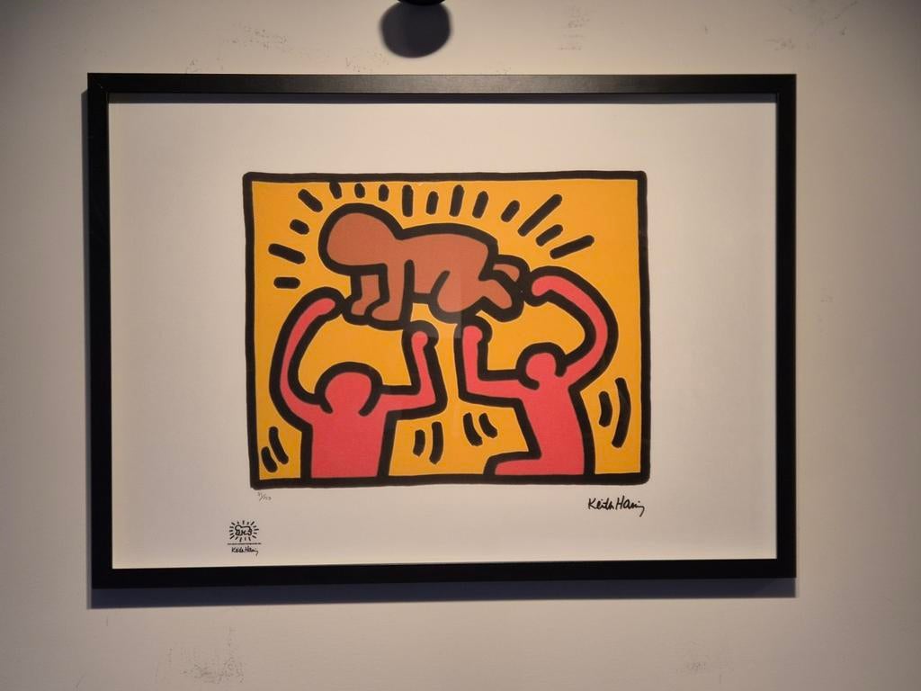 Keith Haring Litho, Enlèvement