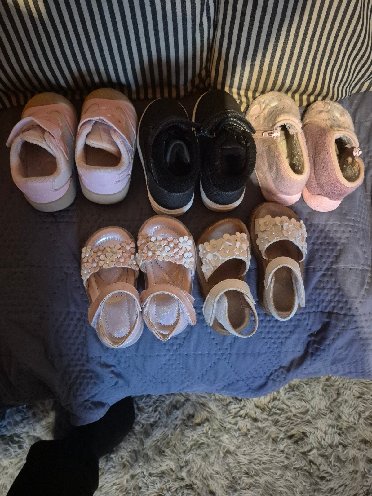 5euro piece, Animaux & Accessoires, Enlèvement ou Envoi