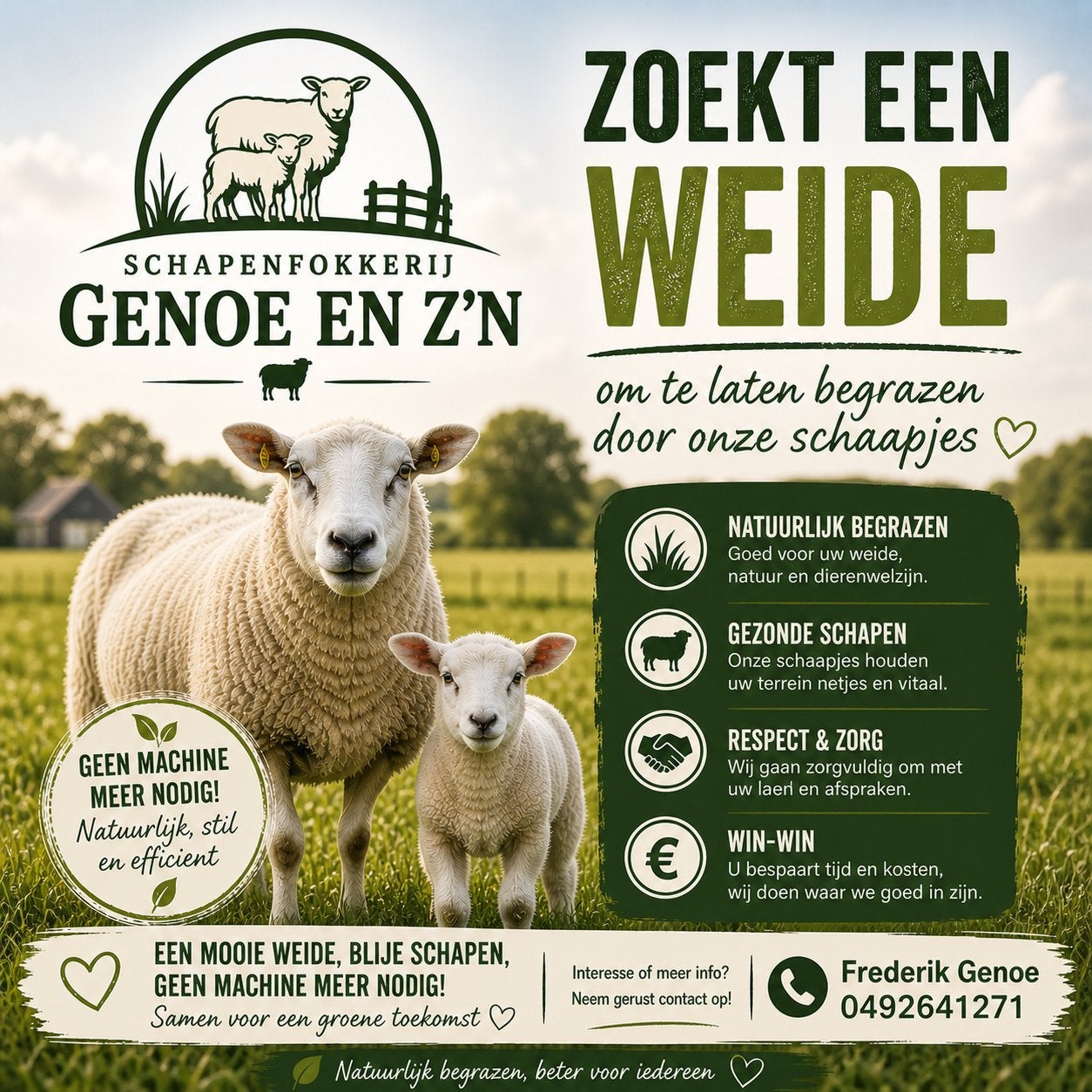 Weide gezocht, Dieren en Toebehoren, Weidegang