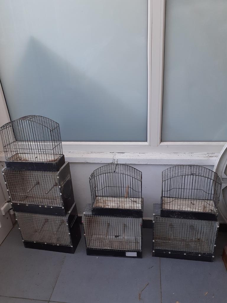 Vogel kooitjes event tentoonstelling., Ophalen