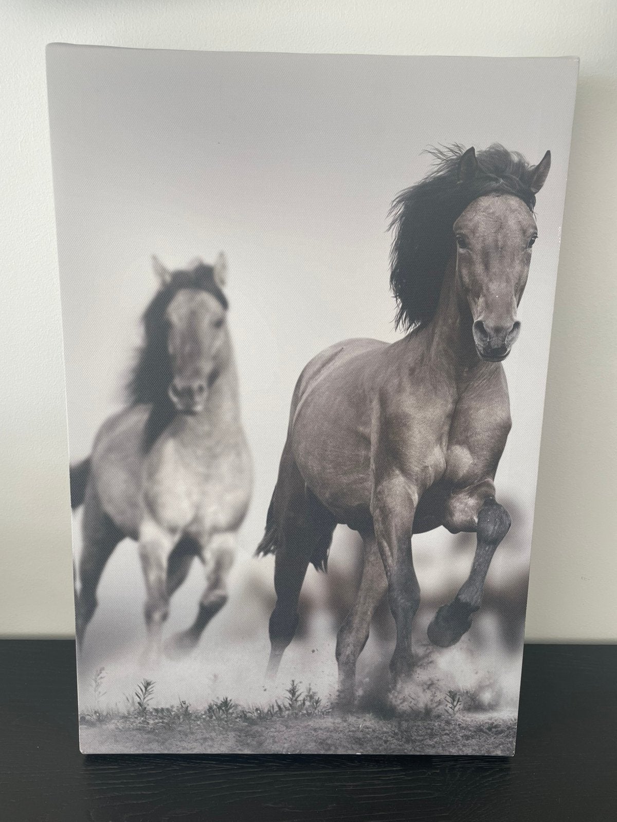 Foto paarden op canvas, Ophalen, Minder dan 50 cm, Gebruikt, Print