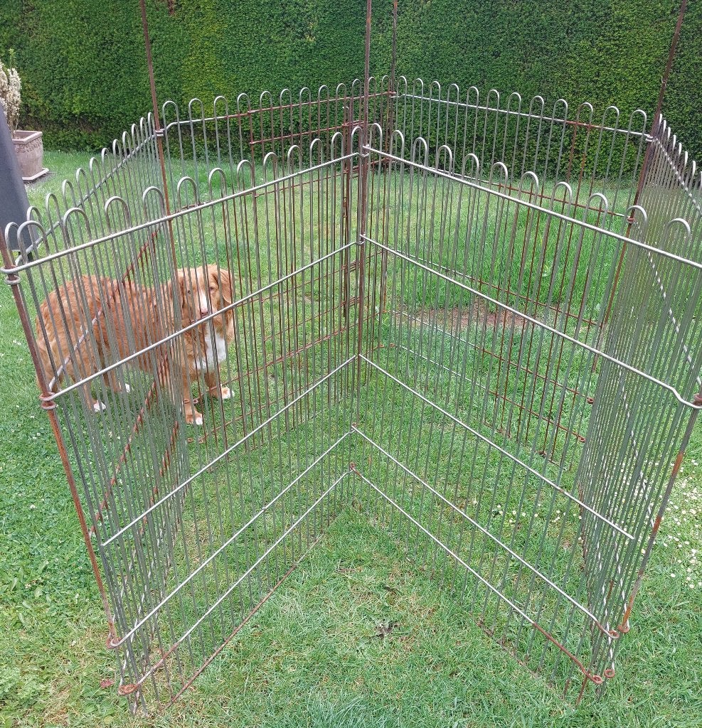 Course à lapins ou à chiens, Animaux & Accessoires, Rongeurs & Lapins | Cages & Clapiers, Utilisé, Enclos, 90 cm ou plus, 110 cm ou plus