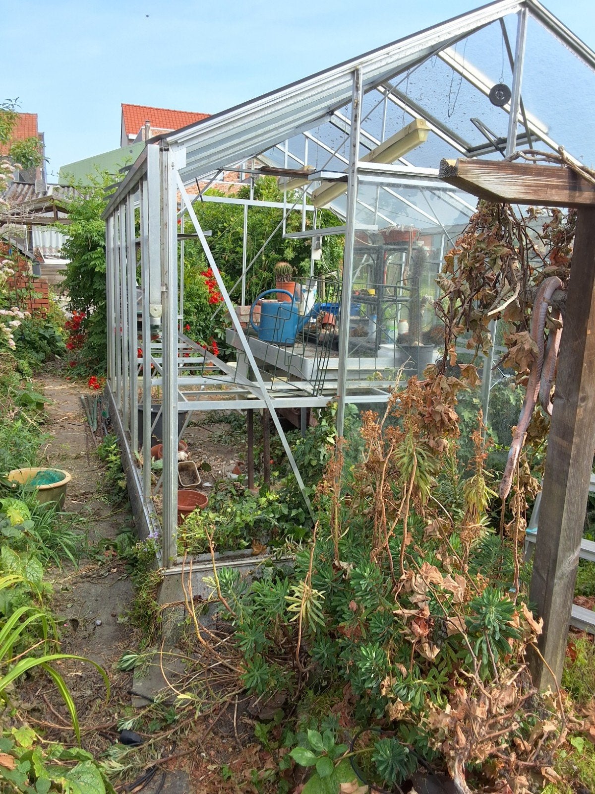 Hobbyserre’ in  glas, 4,5 op 3 m 2,5 m hoog, Jardin & Terrasse, Serres, Enlèvement, Verre