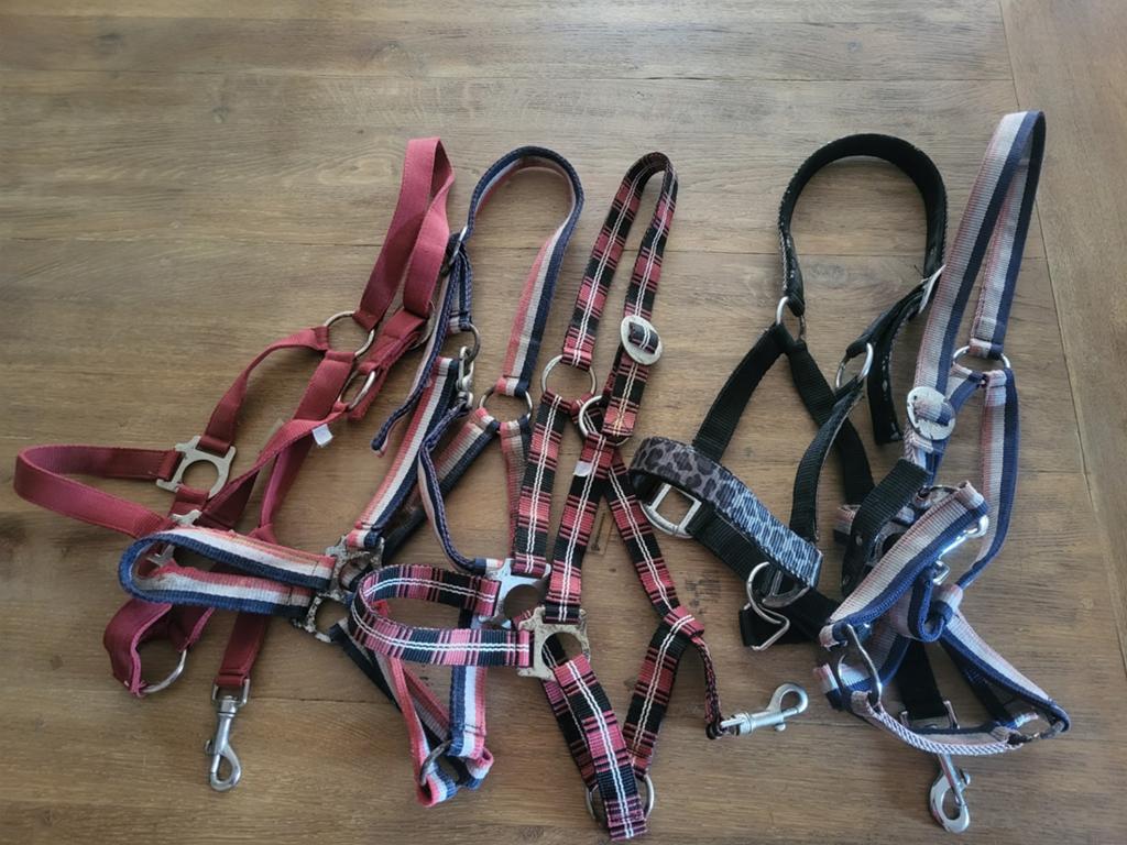 5 halsters verschillende merken en kleuren, Dieren en Toebehoren, Ophalen of Verzenden, Gebruikt, Overige soorten