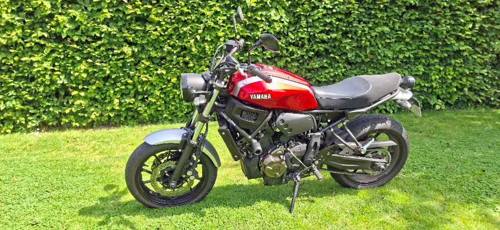 Yamaha XSR700, Motoren, Motoren | Yamaha, 2 cilinders, Occasion, Motorrijbewijs A, Particulier
