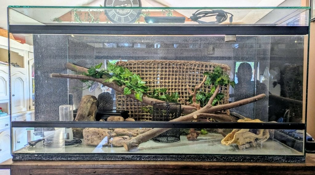 Terrarium, Animaux & Accessoires, Enlèvement, Utilisé, Terrarium ou Paludarium