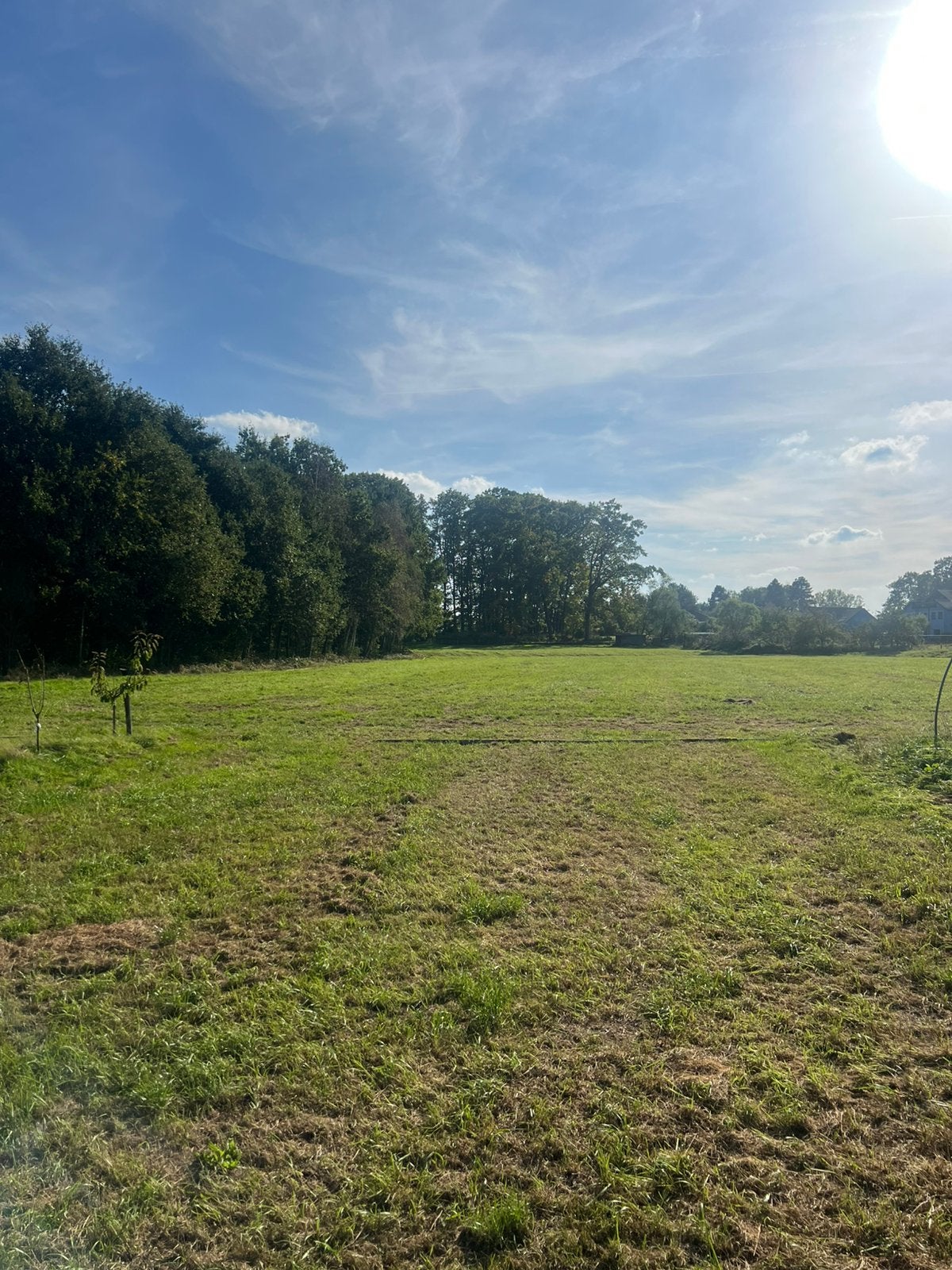 Weide te huur paarden 1ha, Dieren en Toebehoren, Weidegang, 2 of 3 paarden of pony's