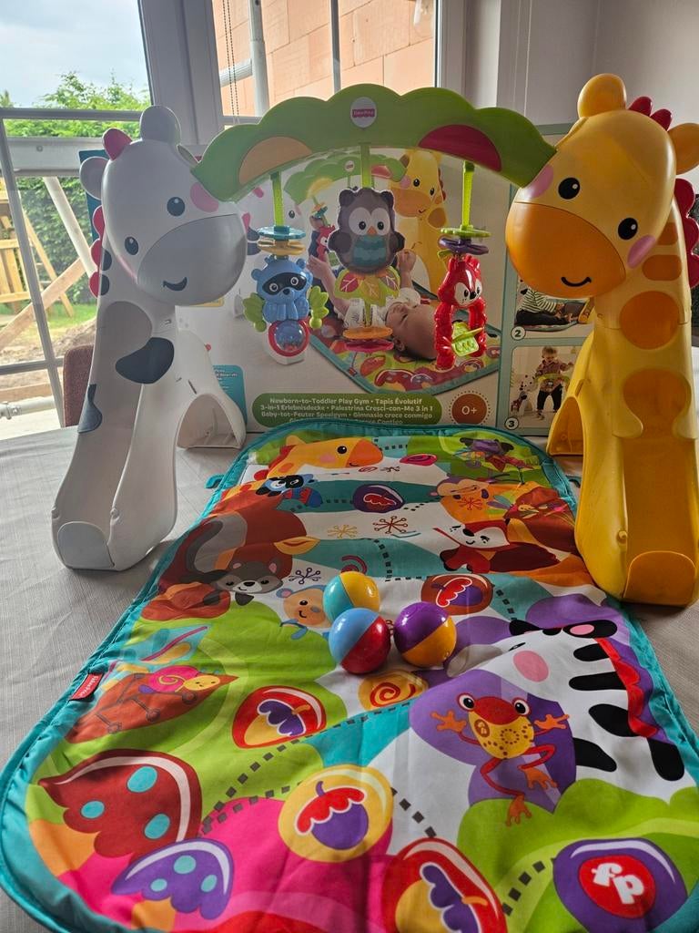 Speelboog Fisher-Price, Kinderen en Baby's, Ophalen