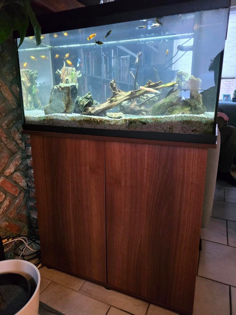 Aquarium, Ophalen