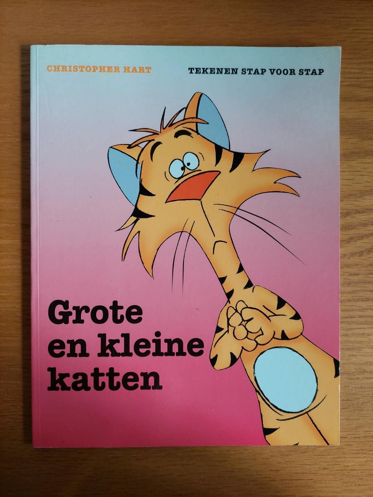 Tekenen stap voor stap - Grote en kleine katten, Enlèvement