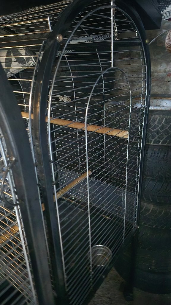 Cage perroquet, Enlèvement, Utilisé, Cage à oiseaux